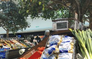 Bond de 32 % des achats au début du confinement