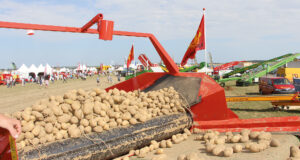 La manifestation Potato Europe annulée
