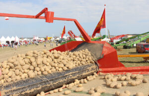 La manifestation Potato Europe annulée