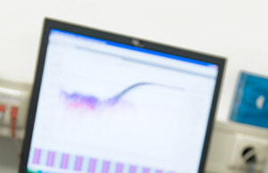 Suite au Covid-19, pas de tests PCR pour les virus sur les plants néerlandais en 2020